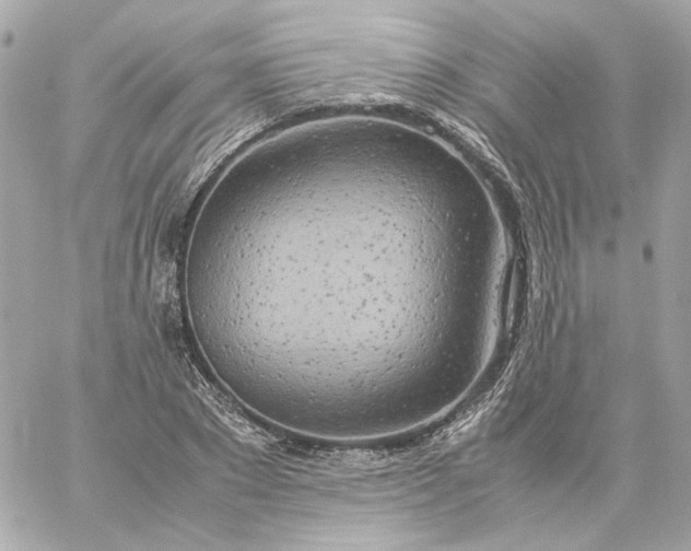 X0000060260881200511112018