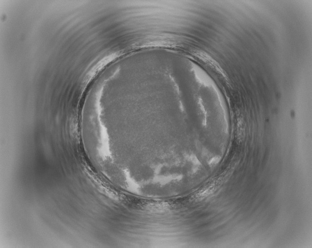 X0000060260882200511112018