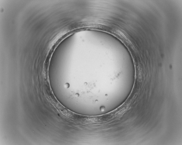 X0000060260883200511112018