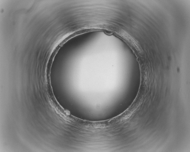 X0000060260884200511112018