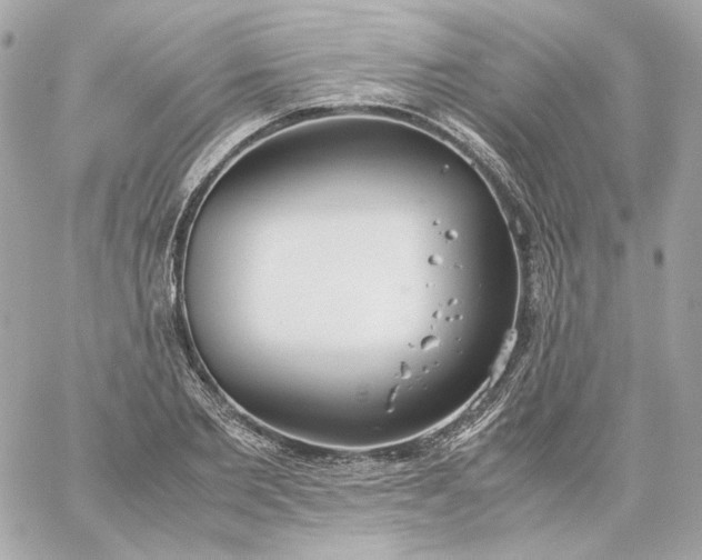 X0000060260885200511112018