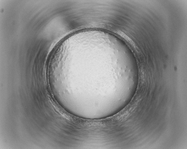 X0000060260886200511112018