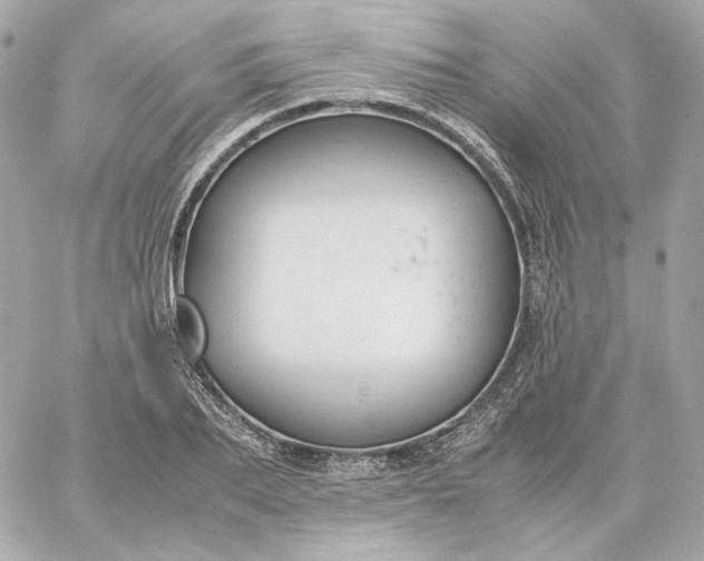 X0000060260887200511112018