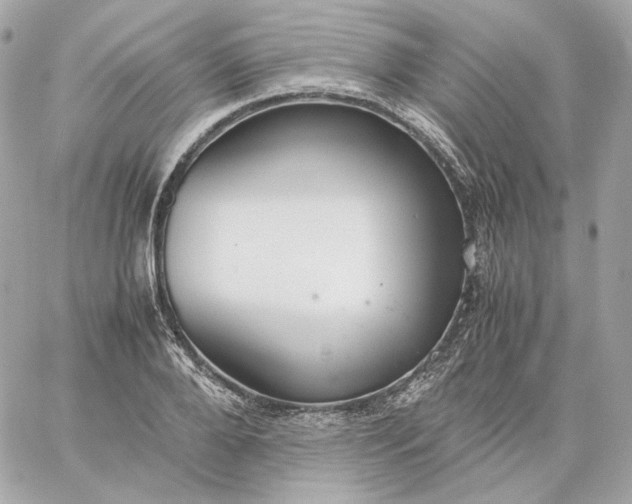 X0000060260888200511112018