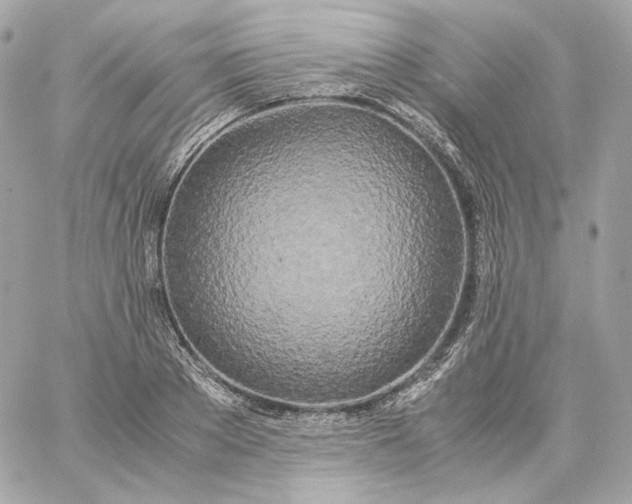 X0000060260889200511112018