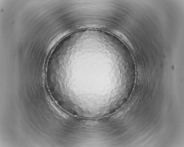 X0000060260890200511112018