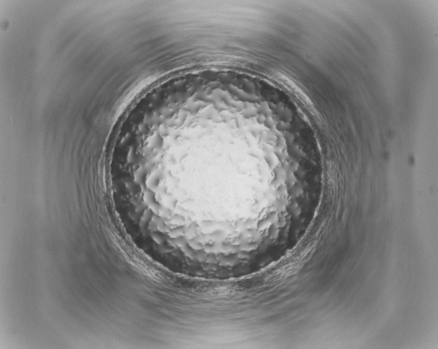 X0000060260891200511112018