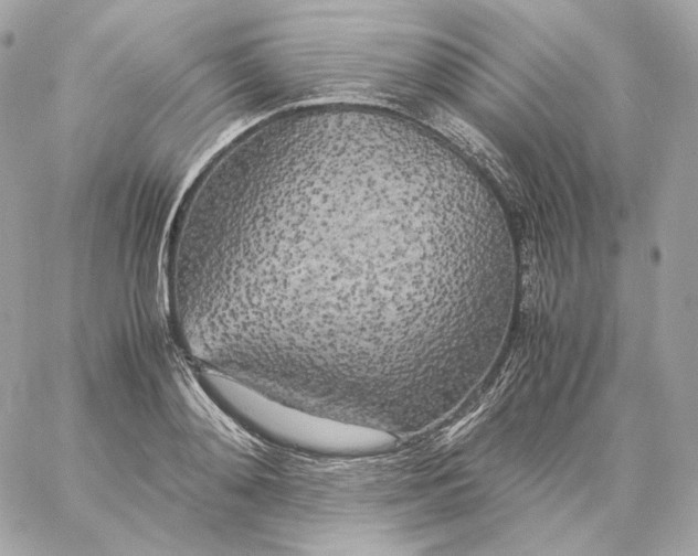 X0000060260892200511112018