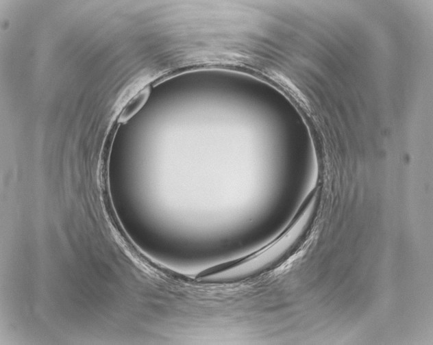 X0000060260893200511112018