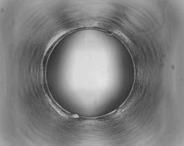 X0000060260894200511112018