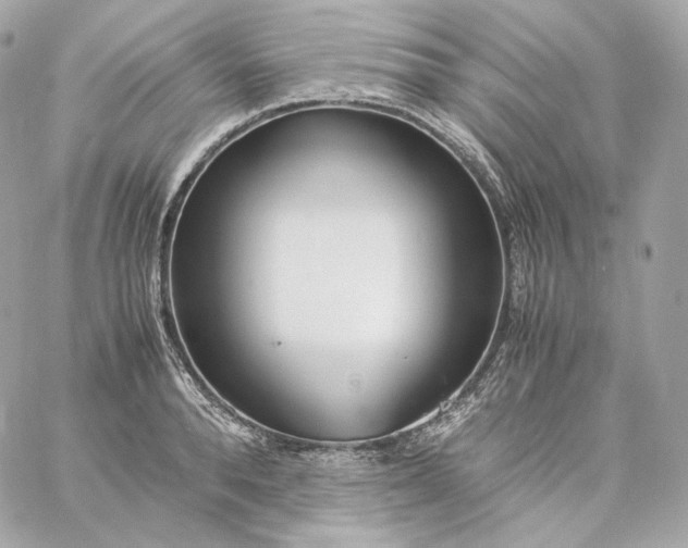 X0000060260896200511112018