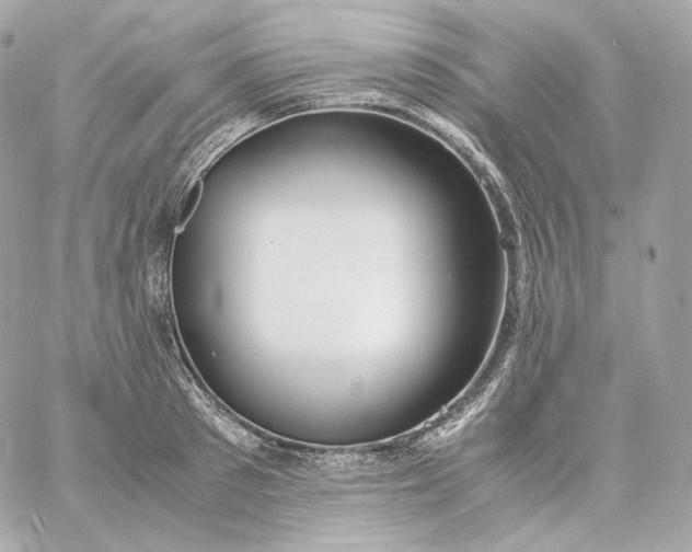 X0000060260897200511112018