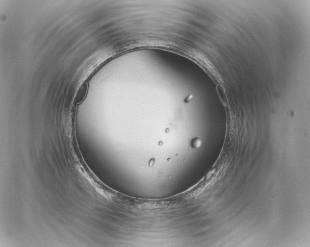 X0000060260898200511112018