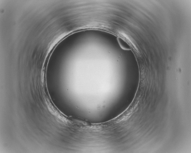 X0000060260900200511112018