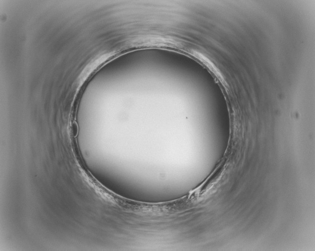 X0000060260901200511112018