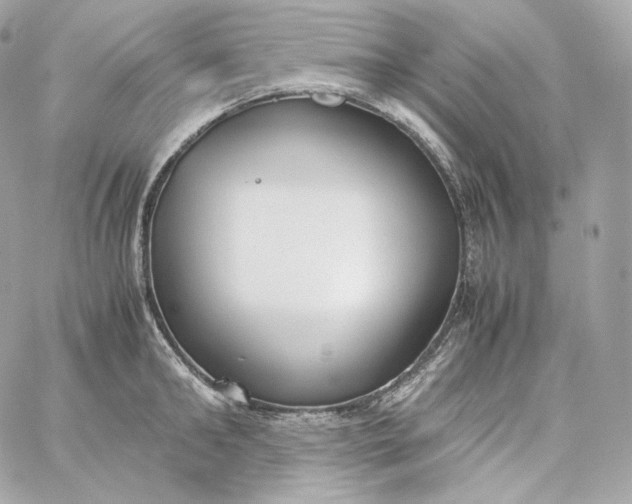 X0000060260902200511112018