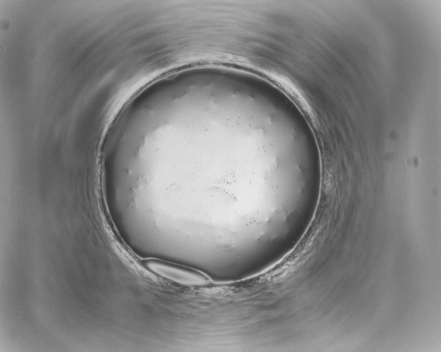 X0000060260903200511112018