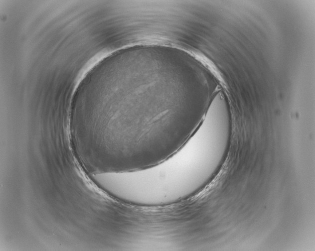 X0000060260904200511112018