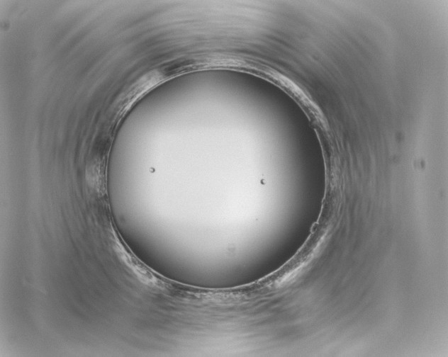 X0000060260905200511112018