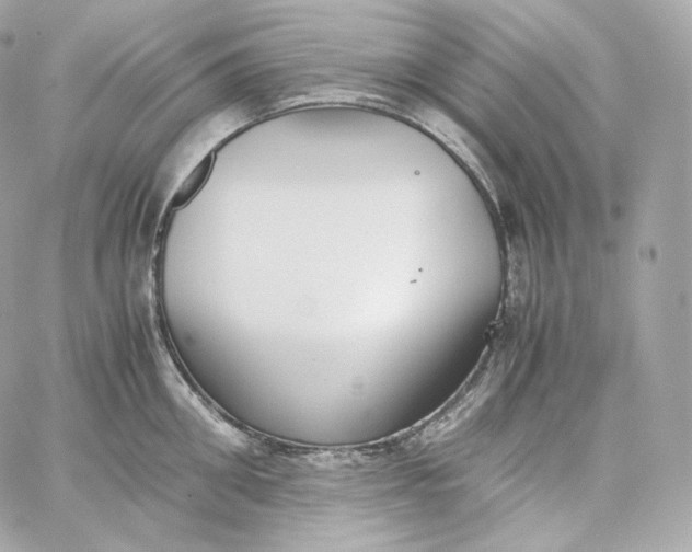 X0000060260906200511112018