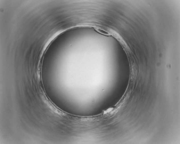 X0000060260908200511112018