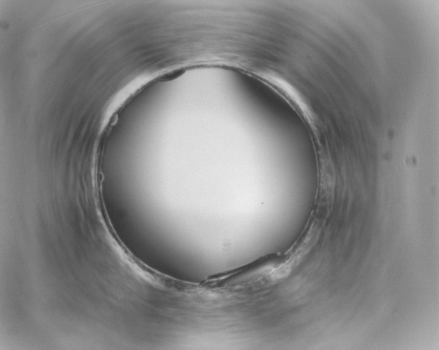 X0000060260910200511112018