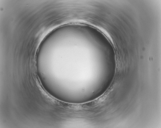 X0000060260911200511112018