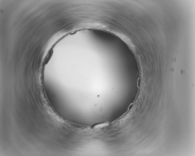 X0000060260912200511112018