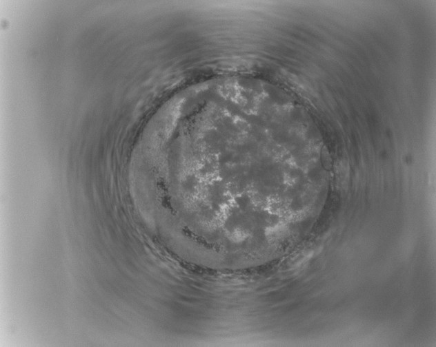 X0000060260913200511112017