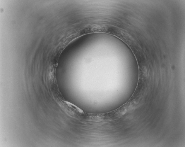 X0000060260914200511112017