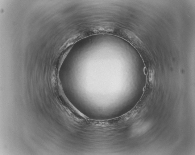 X0000060260915200511112017