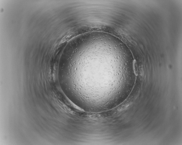 X0000060260916200511112017