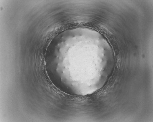 X0000060260917200511112017