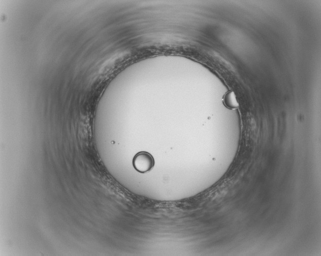 X0000060260918200511112017