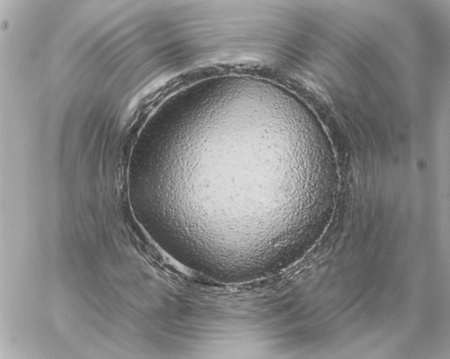 X0000060260920200511112017