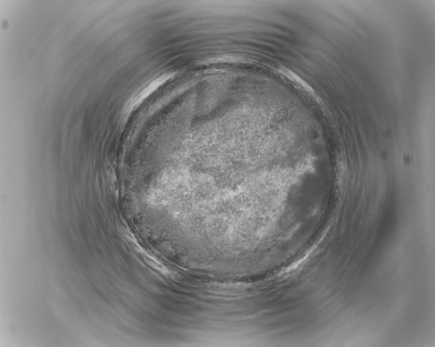 X0000060260921200511112017