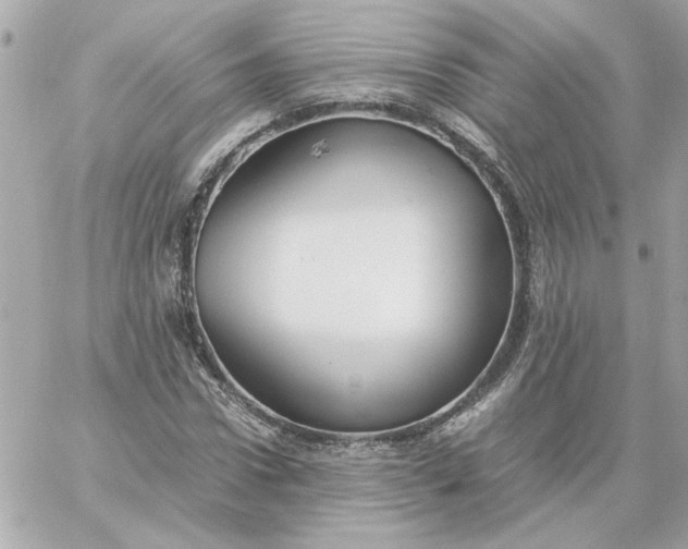 X0000060260922200511112017