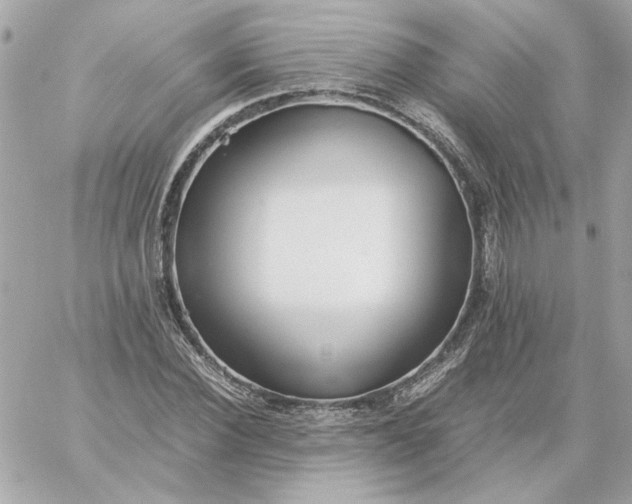 X0000060260924200511112017