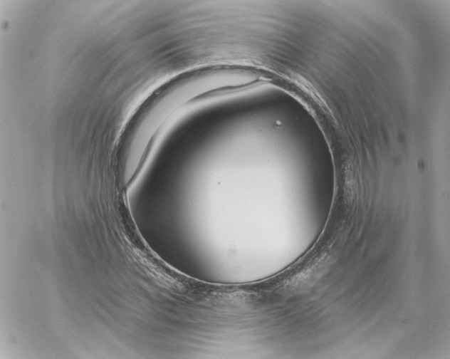 X0000060260926200511112017