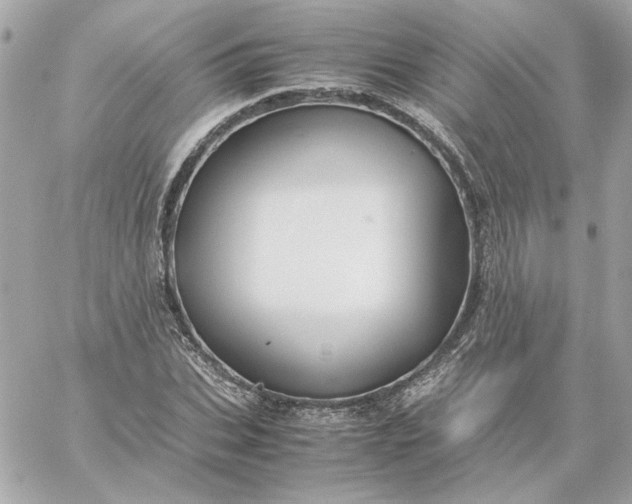 X0000060260927200511112017