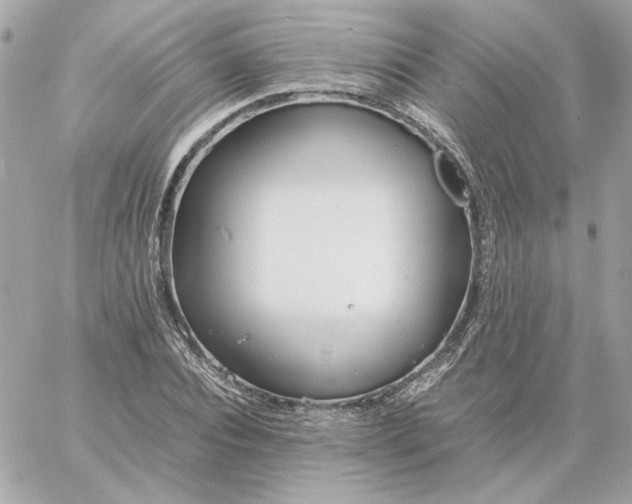 X0000060260928200511112017