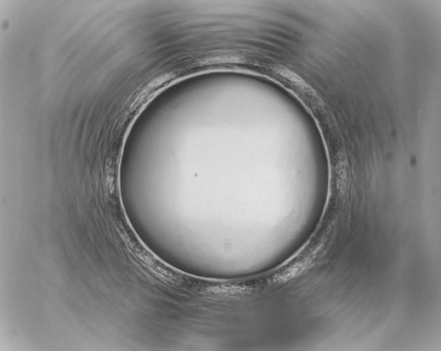 X0000060260929200511112017