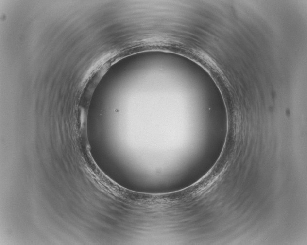 X0000060260930200511112017