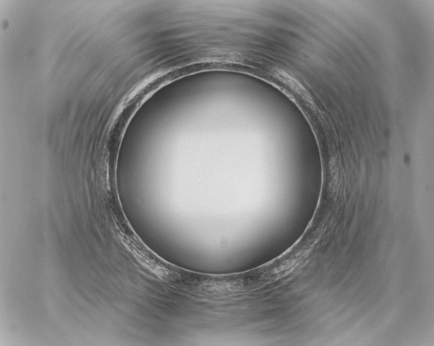 X0000060260931200511112017