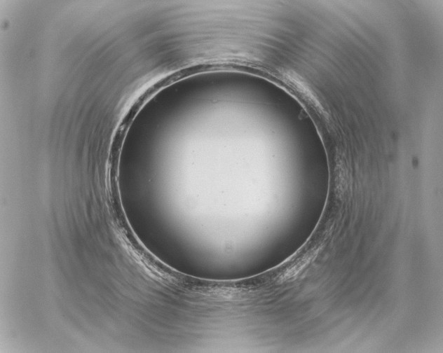 X0000060260932200511112017