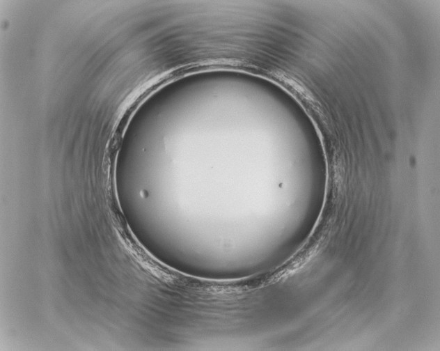 X0000060260933200511112017