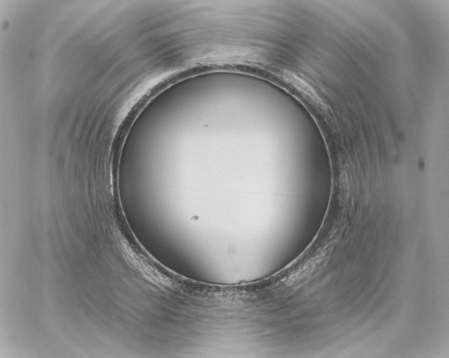 X0000060260934200511112017