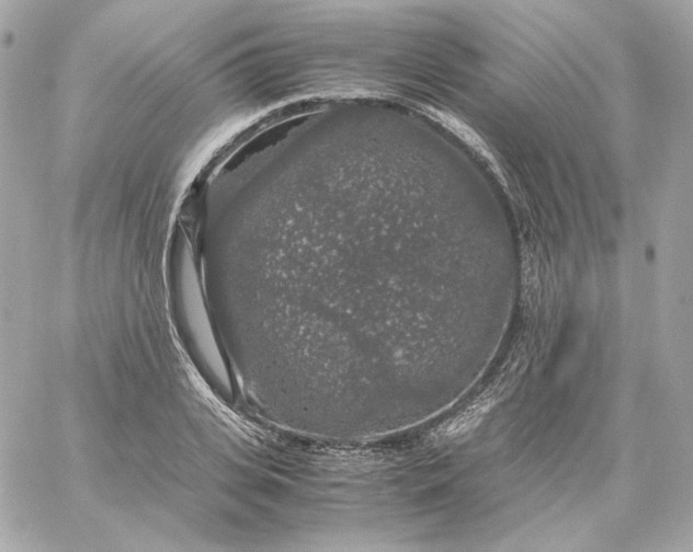 X0000060260935200511112017