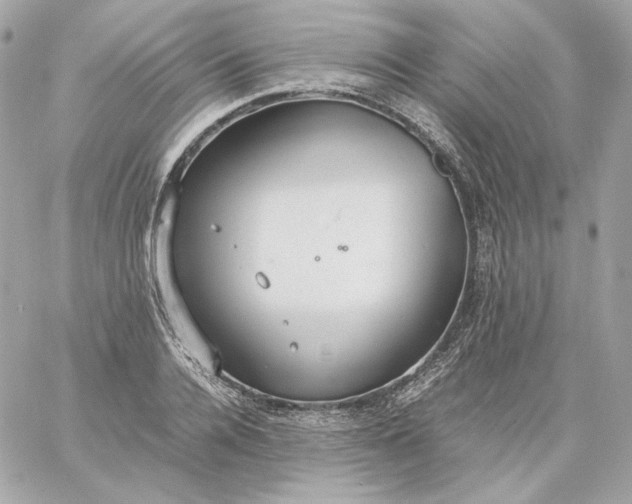 X0000060260936200511112017