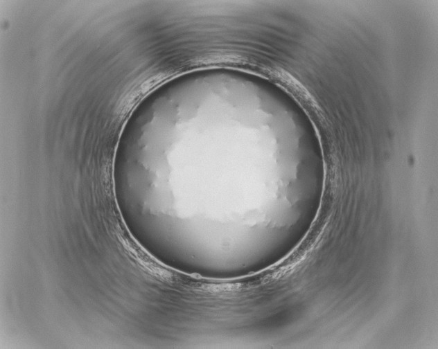 X0000060260937200511112017